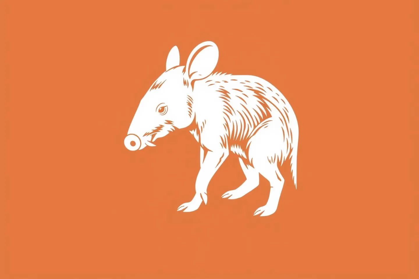 Aardvark Symbolism