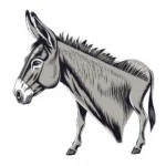 donkey symbolism 1