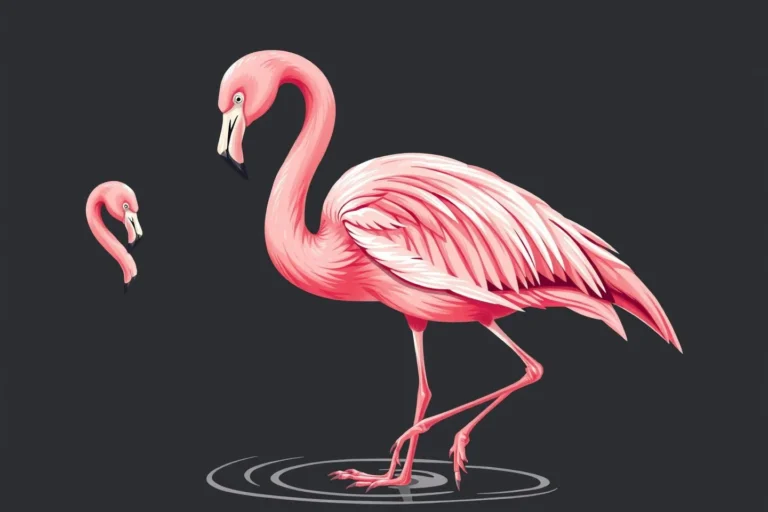 Flamingo Symbolism: Grace, Balance, and Transformation