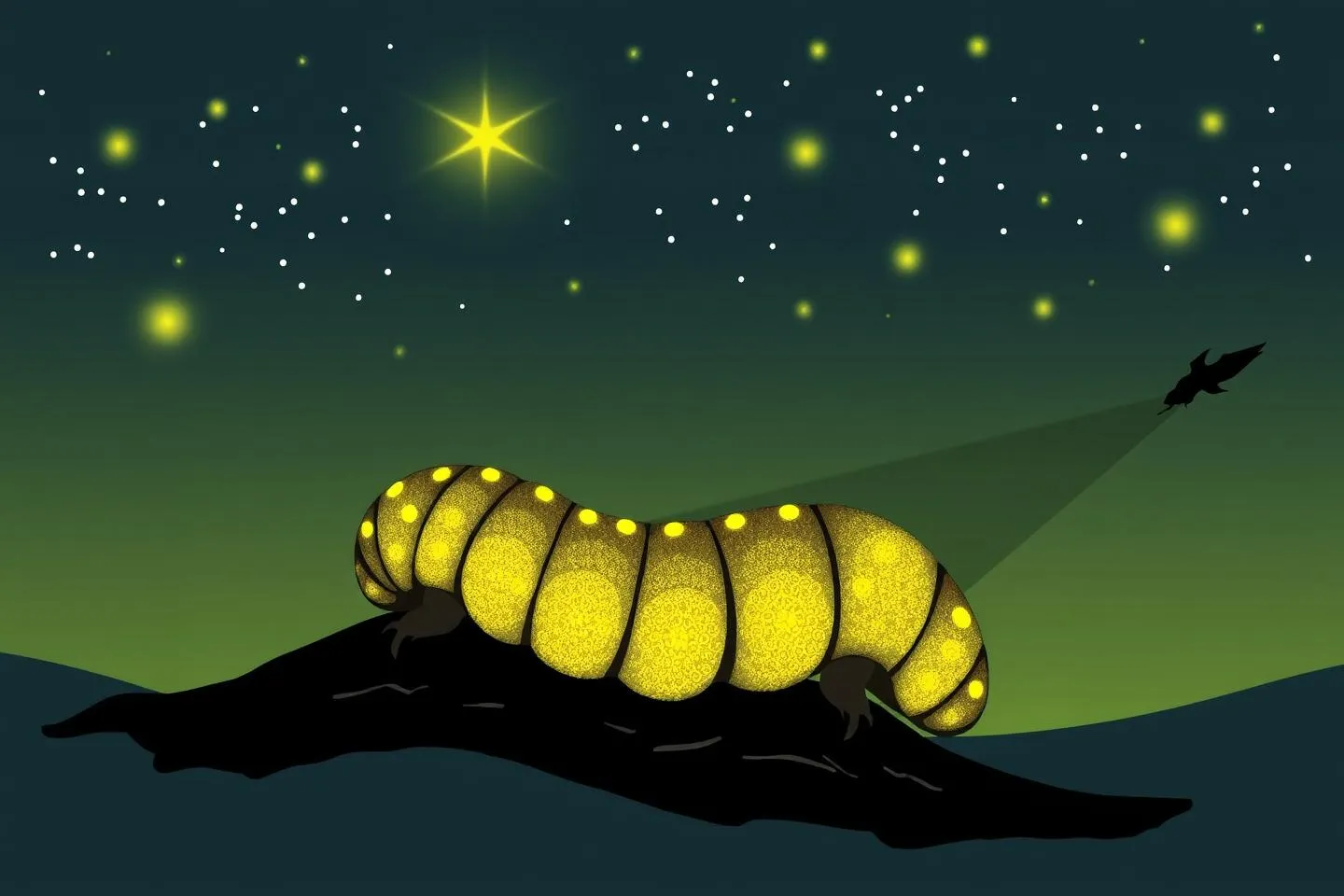 glow worm symbolism 1