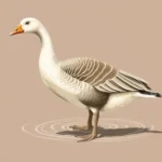 goose symbolism 1