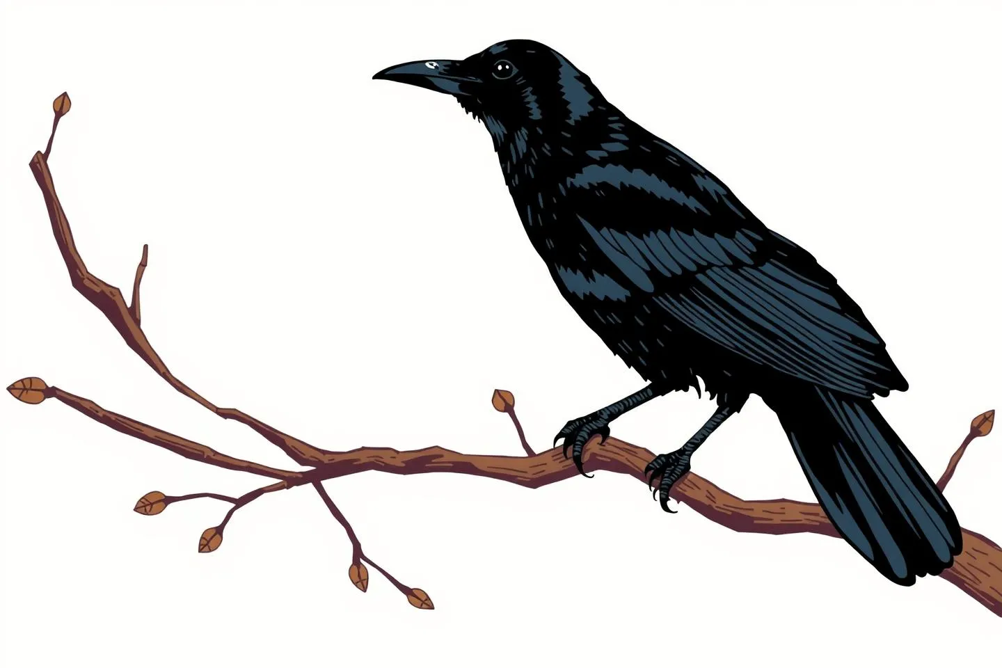 grackle symbolism 1