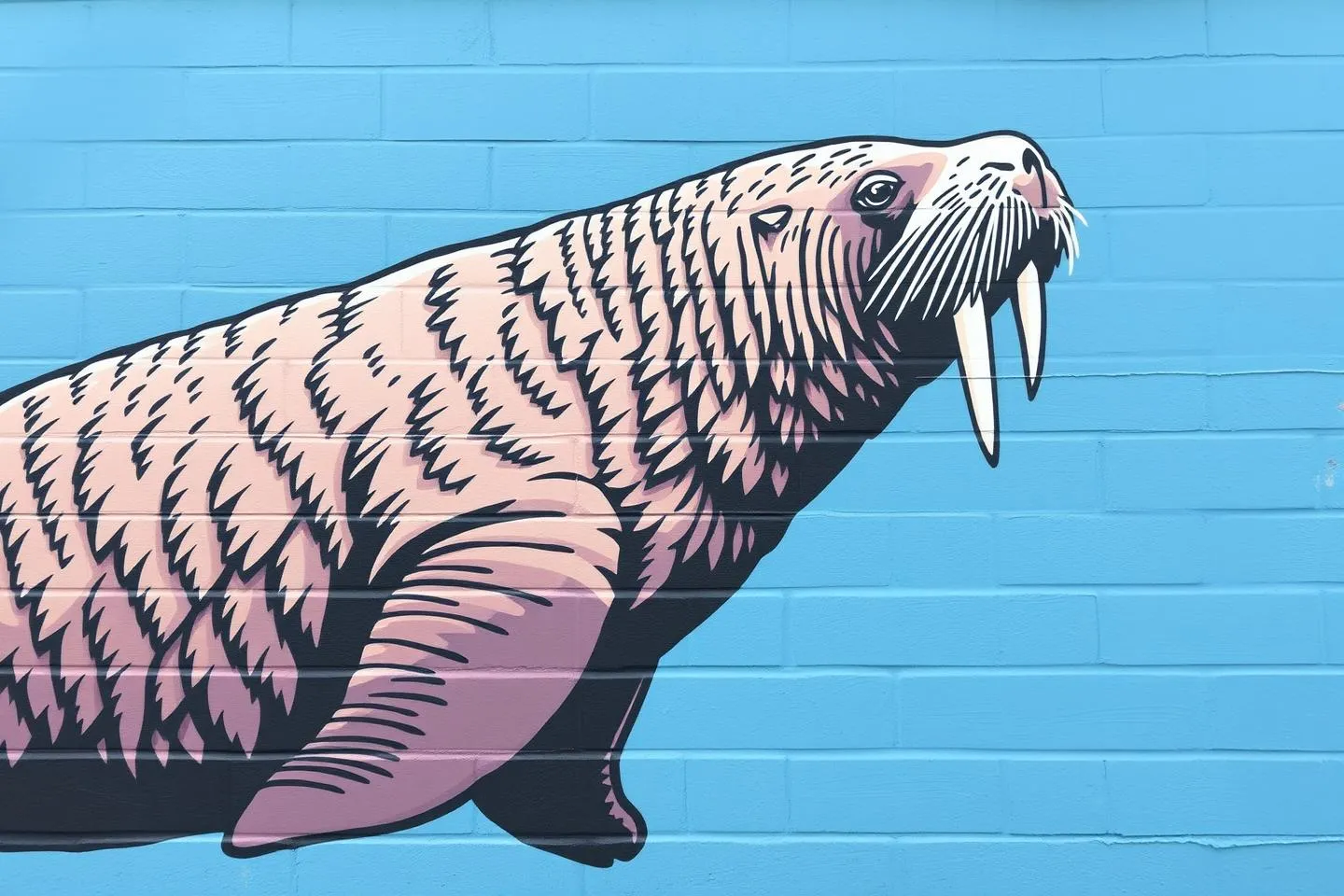 Walrus Symbolism